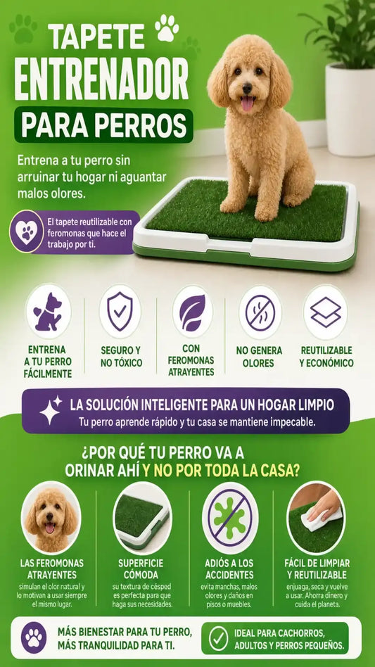 Tu perro aprende a ir al baño | Tapete de entrenamiento | No más suciedad por toda la casa
